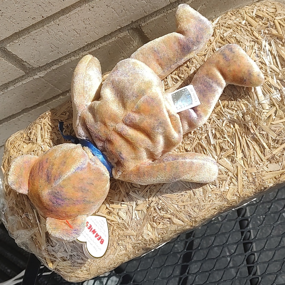 Clubby lll/Ty 🐻 - Picture 9 of 12